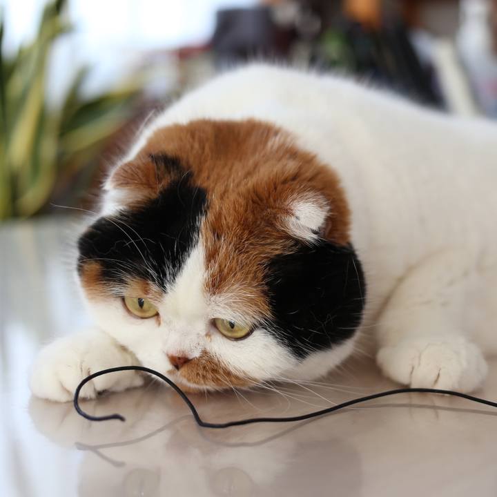 9ec2851f 4cf9 44cd 8cbf 73aac508fcfa 1644452499459