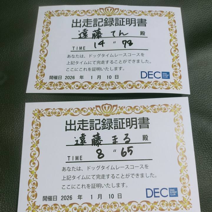 9ec28d3a 9a87 4496 a4e8 1cc6bea27fbd 1768034904235