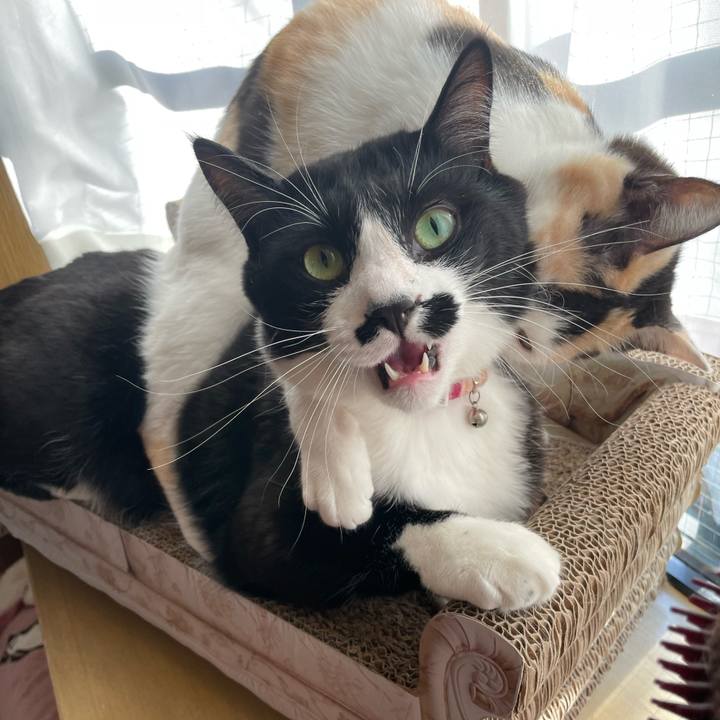 9ec3262f eea0 44b5 abf4 6e96d0b868fa 1677279996248