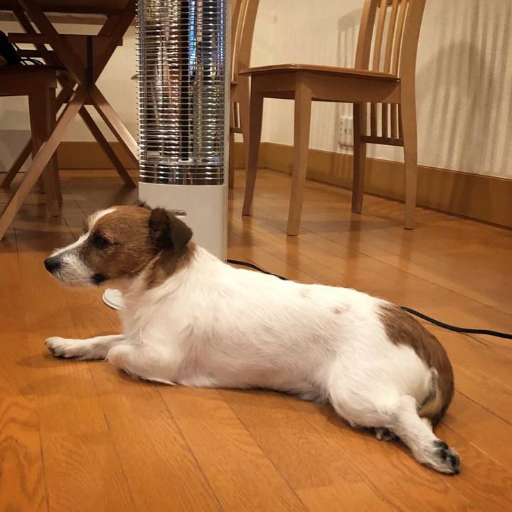 9ec329df 9dcc 4d95 be77 7eaad9198510 1511355214800