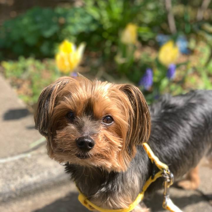 9ec334e9 97d2 46e6 88f2 c47102d60127 1617005974734