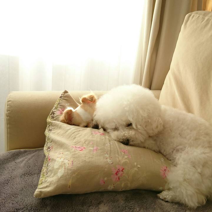 9ec344b0 3625 4aca adfb c2121edca291 1516322499920