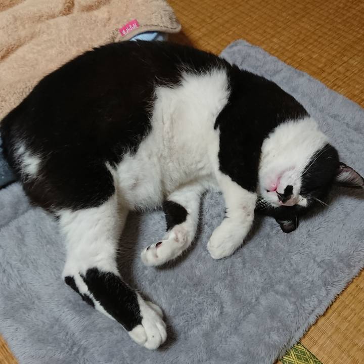 9ec348e8 7237 4e24 93ab 7ca1d6f7c87d 1539508351923