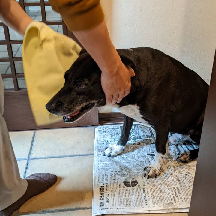 9ec3785c 36bf 4565 beef 209dc981d25f 1699315270463