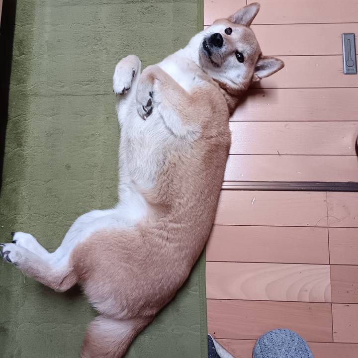 9ec3a30d 74d6 4fcf 9097 1cb6c5a3a9e8 1772804607666