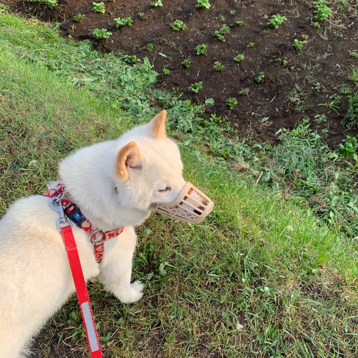 9ec3ac29 178c 476e a9ec 87539c5b9824 1560980505260