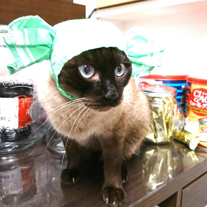 9ec3ba10 9fa2 4b51 ab48 0a38fc403e91 1525082137833