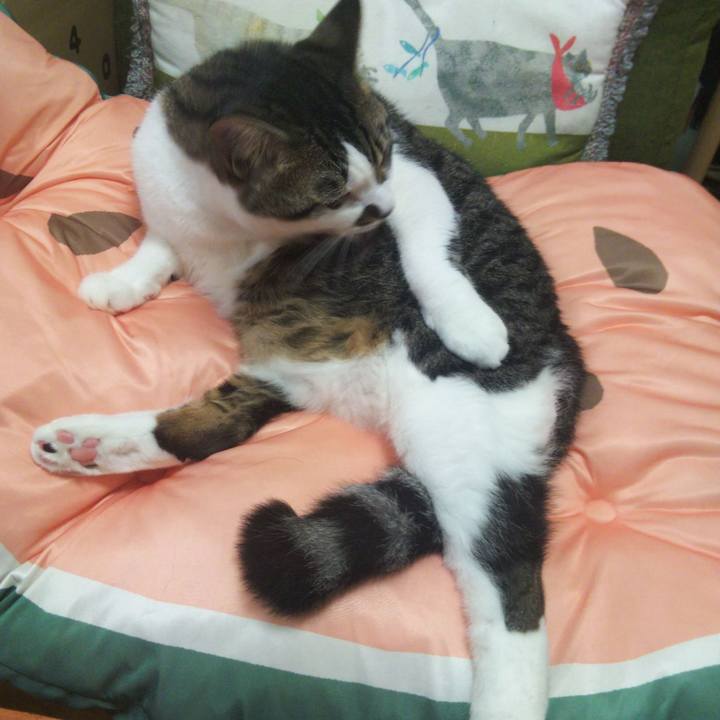 9ec40ec9 5673 4f73 9905 bdba9456f9a9 1662348051659