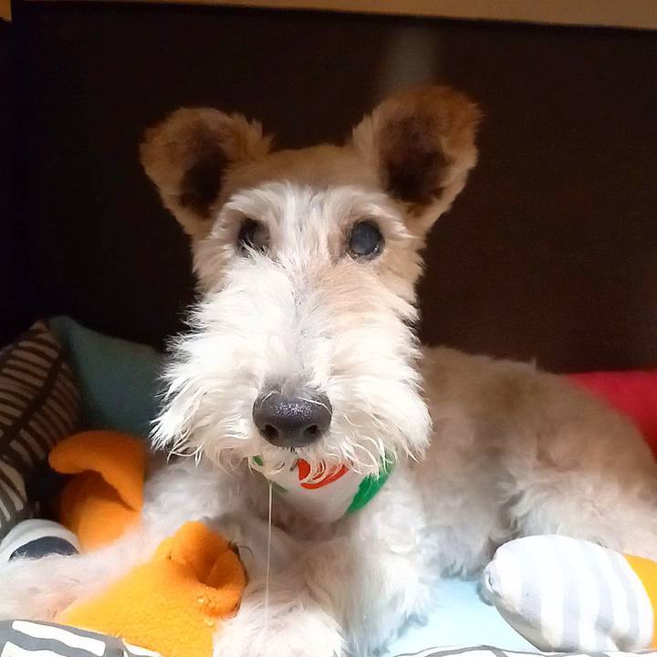 9ec42a2a e5a4 432b a144 7b9acf5213b3 1628257225318