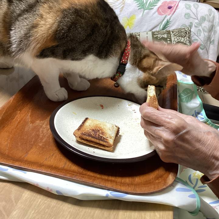 9ec44739 521a 4121 861a 35473d33a479 1681958835852