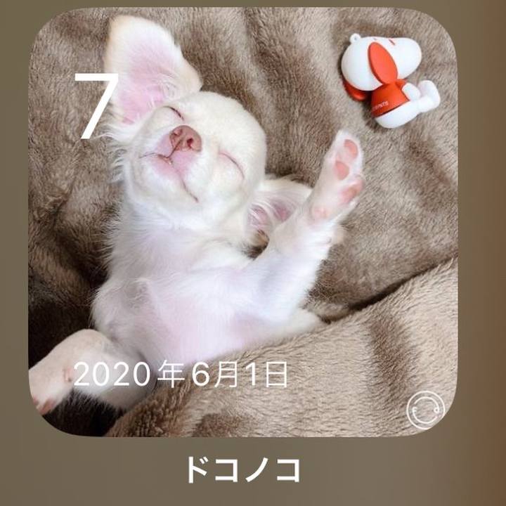 9ec458bc f5a1 4355 a5ee b33c63af071b 1686137283257