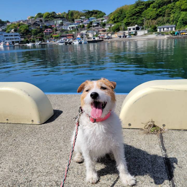 9ec46de5 6f13 4f35 91f1 4c2b13e277ea 1714816044646