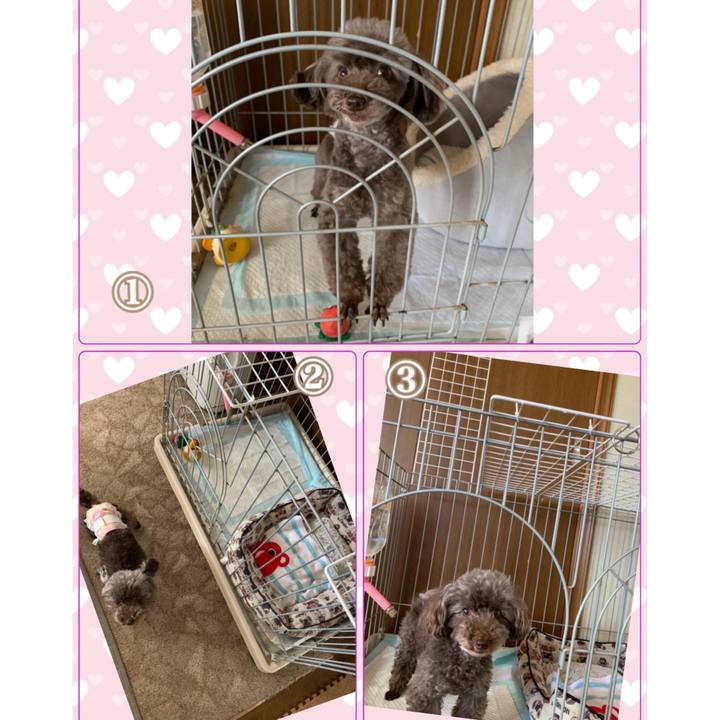 9ec49b22 d981 4cef 8332 7405458fa8f9 1569562817904