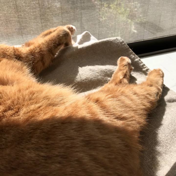 9ec49f01 bdbb 4431 962a 62ff9a2096e7 1510454913278