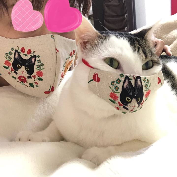 9ec4a689 c169 4262 bd25 50ede51387a4 1589286057286