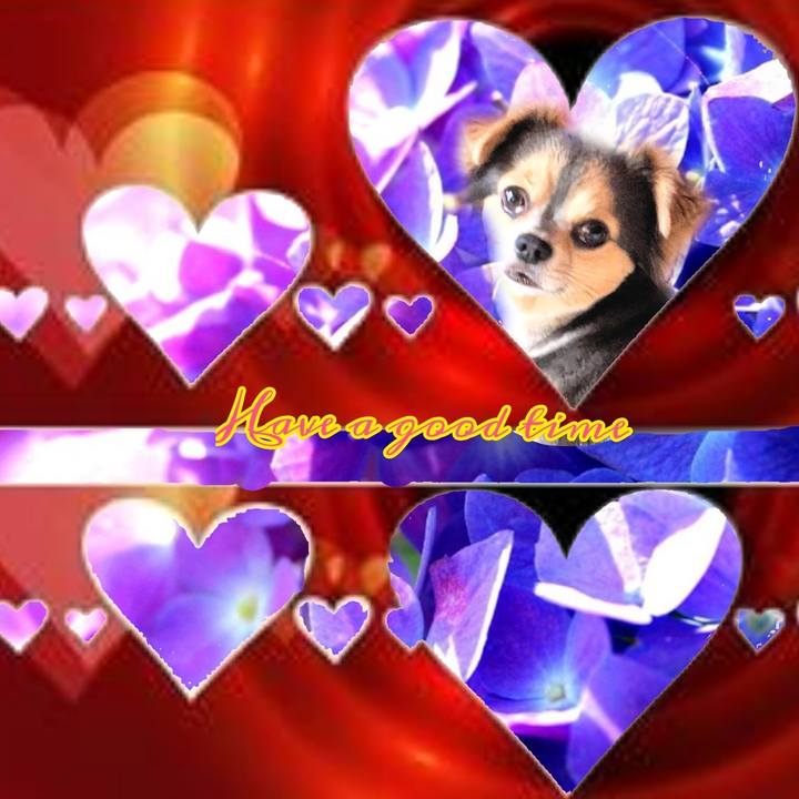 9ec4a9e5 a35f 48f9 bcbf 8a90228ca425 1591843086311