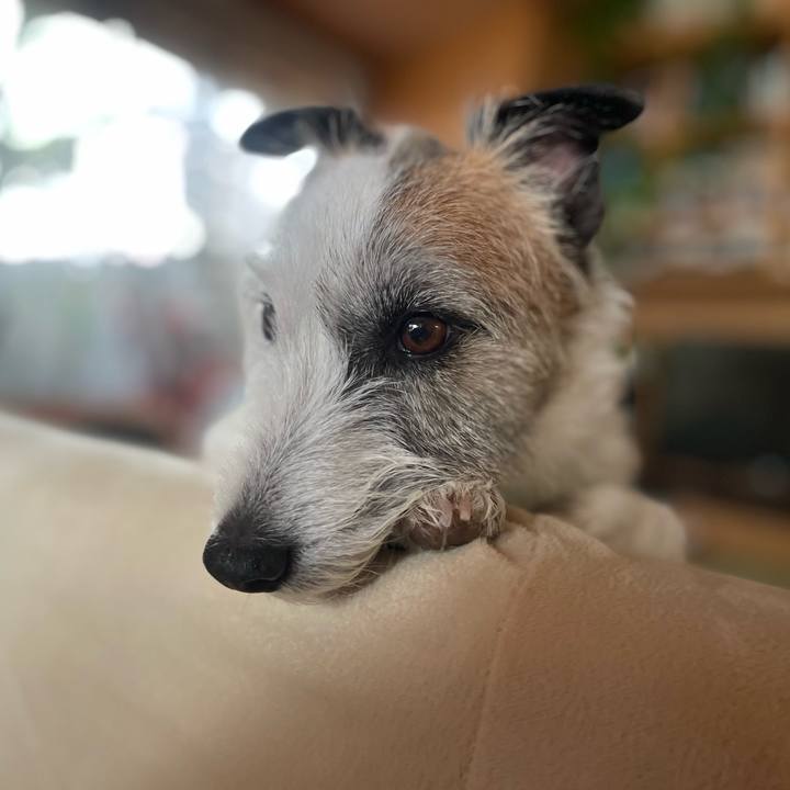 9ec4f48e 15ca 4bbe bf5f 6f1592c9df5d 1753231648719