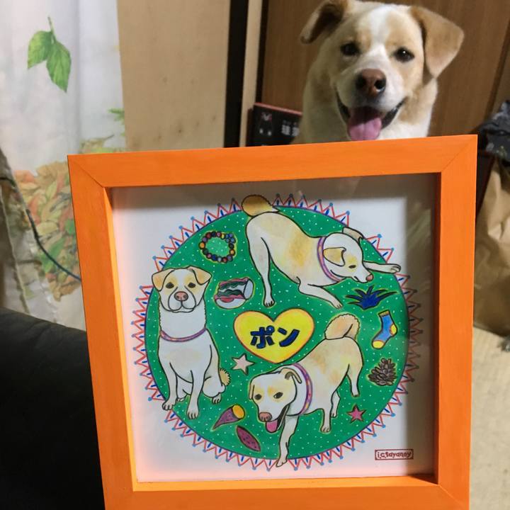 9ec50212 98f0 4619 a5dd 6a62c03651b1 1528280032531