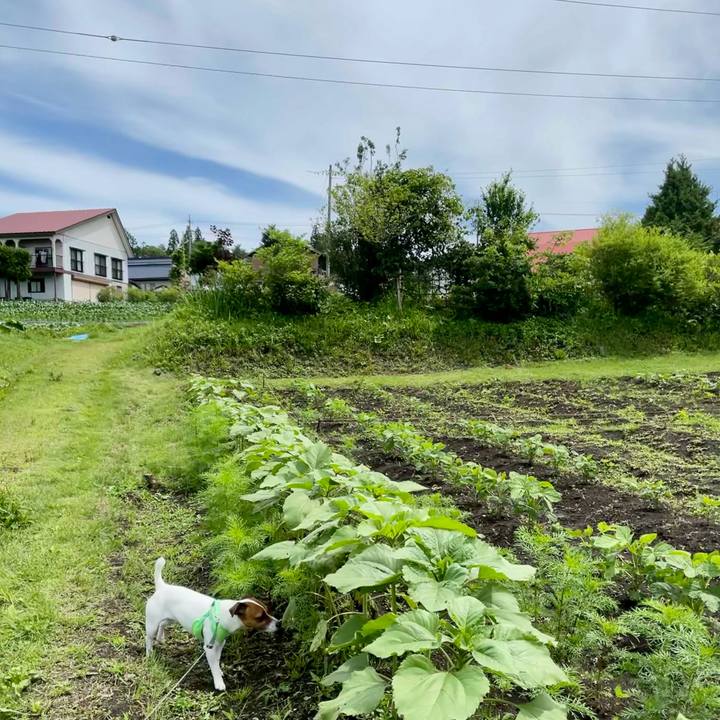 9ec506b2 c0ea 4aac 8229 e604d980aee8 1625026188738