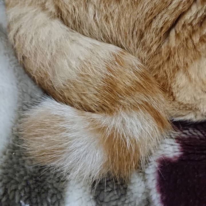 9ec520a0 5301 45c2 80d7 3aa3525c5595 1639918370974