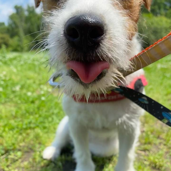 9ec54ee3 fde6 4af0 a957 5c654b63b89f 1621752112673