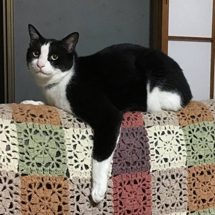 9ec560be a09e 498e a69b bdbc8965d46d 1718282062041