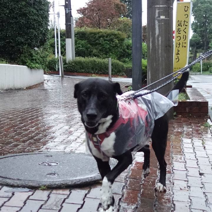 9ec58275 5339 4216 8773 fe707316e21f 1633045246687