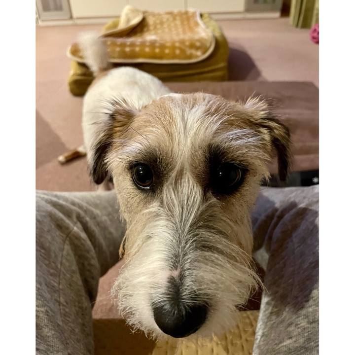 9ec58755 22d8 47af 96dd a6a25248b95f 1669117736039