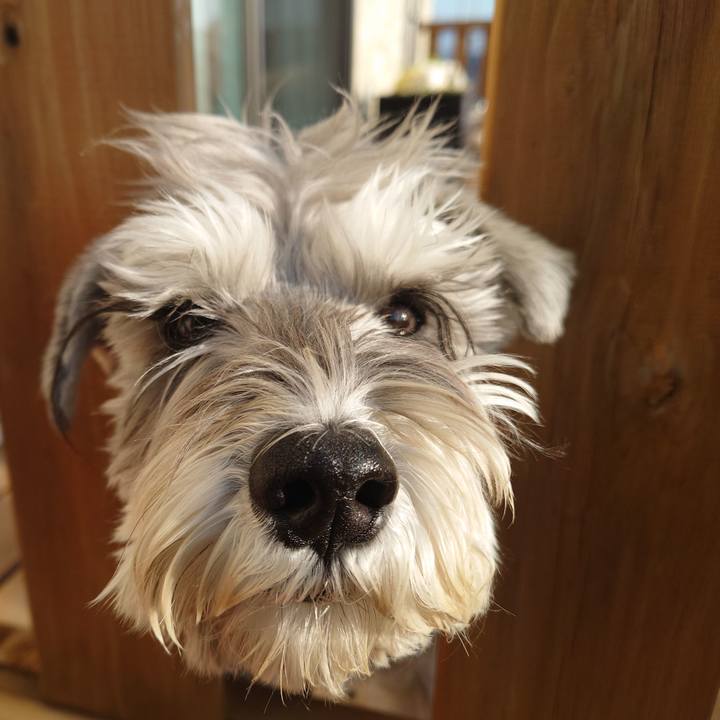 9ec5a6ef 6a13 4e12 9274 141884a1821e 1770334353721