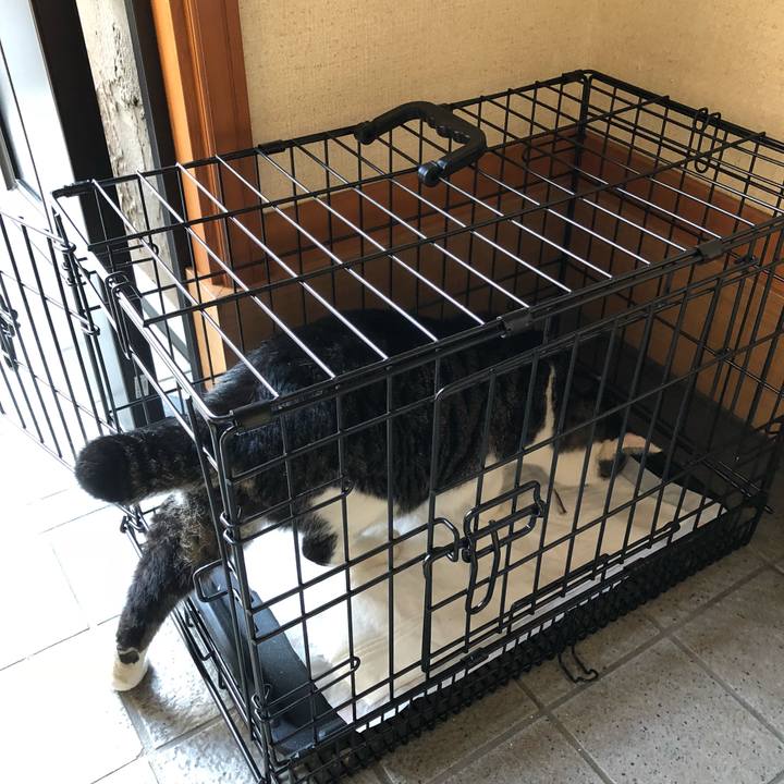 9ec5c841 11e6 4375 af1a 7f50ab0dc1f6 1536449989672