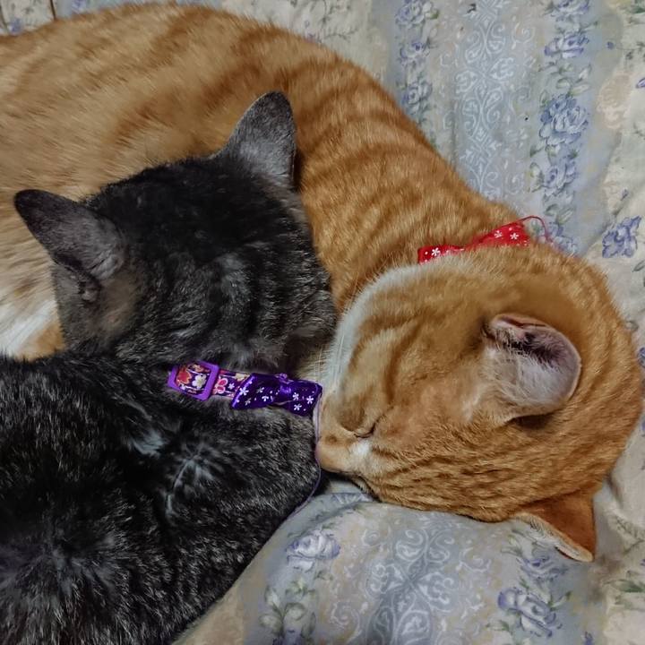 9ec5dce8 fbda 4df8 a63b f6f322e41e51 1579783731767