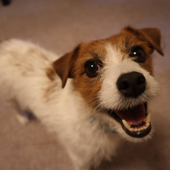 9ec5ed66 b3f6 4f96 a96d f2cfa1a3f632 1546352529021