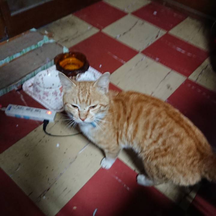 9ec62b04 95d4 4e0a a431 b4784a8055dd 1555964883914