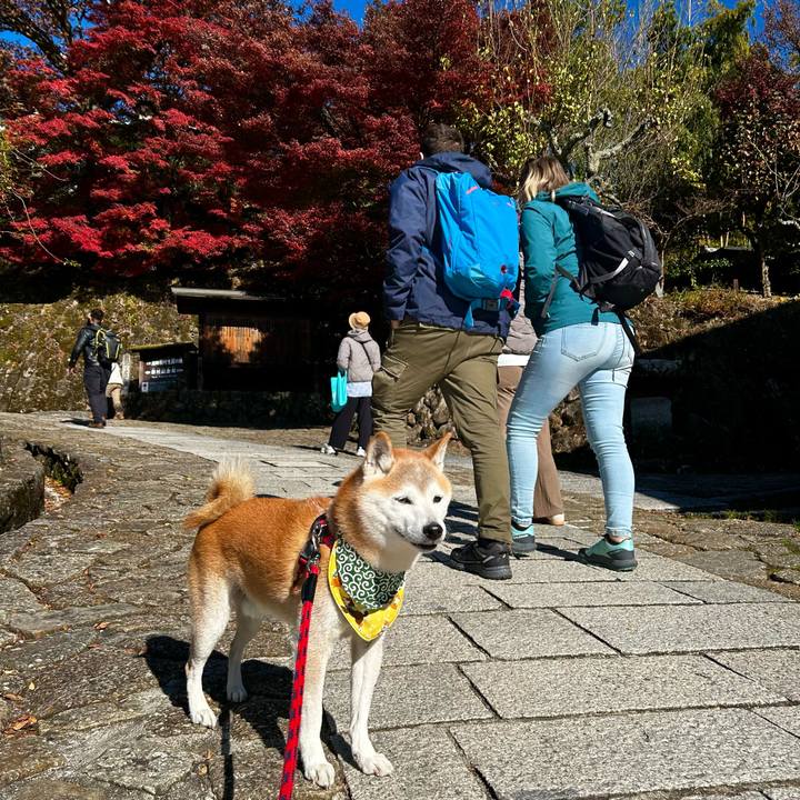 9ec63975 a0f0 44c0 abf8 408d8429e632 1763629279677