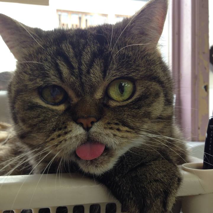 9ec6530c db8c 4574 ba81 cf7d41d8cc06 1507939592304