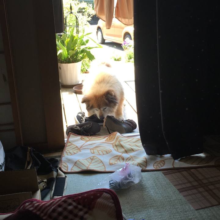 9ec66b91 f194 4c53 b8f1 71d9e66c65fd 1582474416563