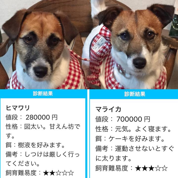 9ec67aa4 9ea3 4dd6 a4e9 279d22d2191c 1529827664210