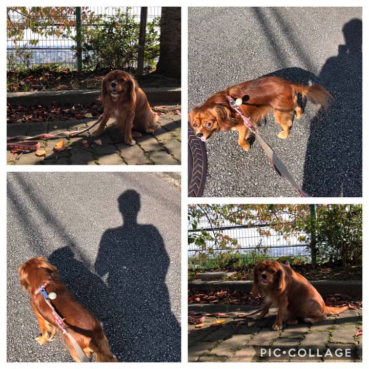 9ec6b91d 0e02 4a21 893e 2e579c4eb816 1572271884850