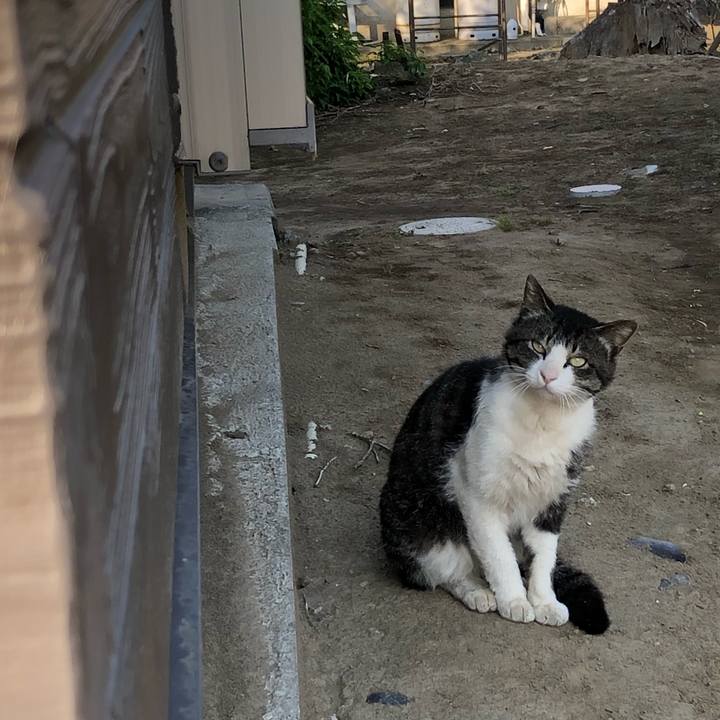 9ec6bf9c 5b10 4ac1 badc c41db48c4e40 1559014171028