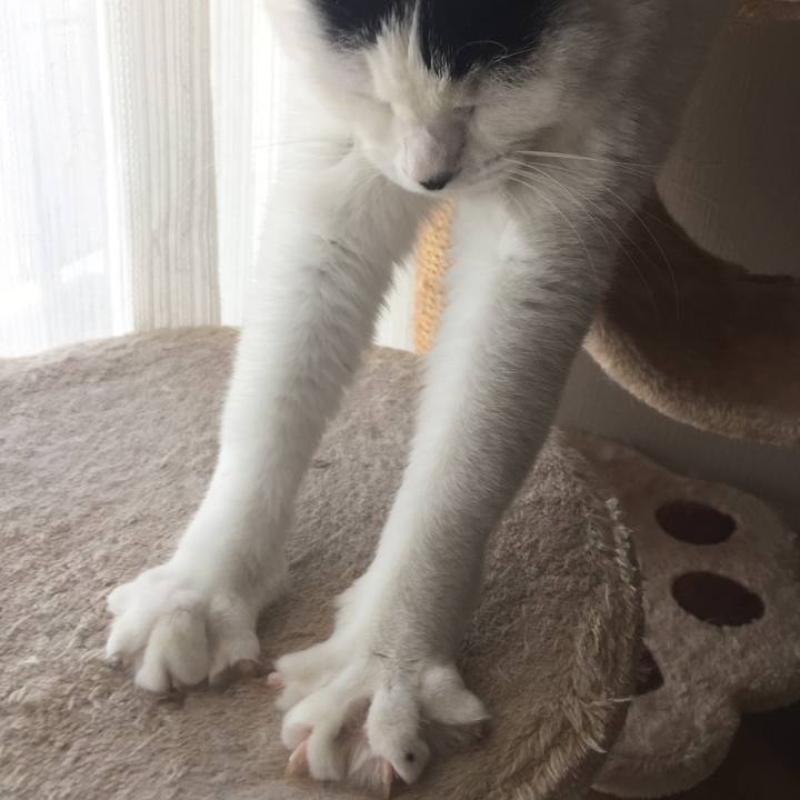 9ec6d0c2 16c4 4d85 809c 32d1750f36a6 1513899718604