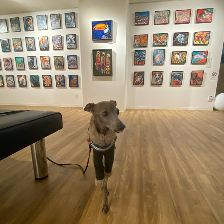 9ec6d5c6 7663 42f1 86cb a7d99804d224 1764491939558