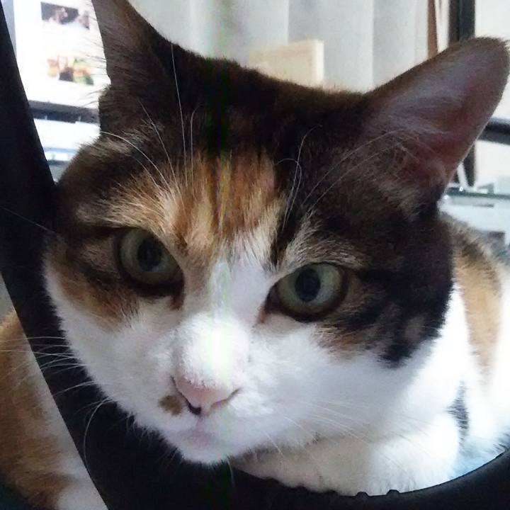 9ec6dbb1 2627 4d4c a31b e9b93aabbc6b 1561022084450