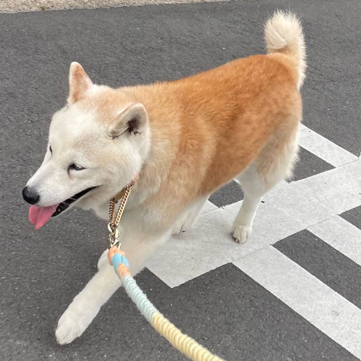 9ec751de e882 4a9b 8677 fd53d69dbb61 1690719709333