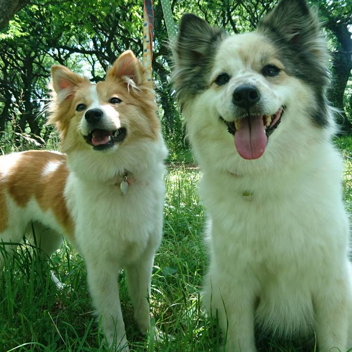 9ec762b7 916e 4edf 94e0 daba83a41859 1557843162869