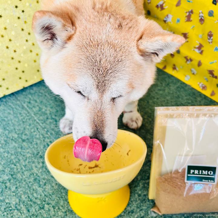 9ec7812e 5485 4033 b7c1 d248b07eb4c2 1746681685753