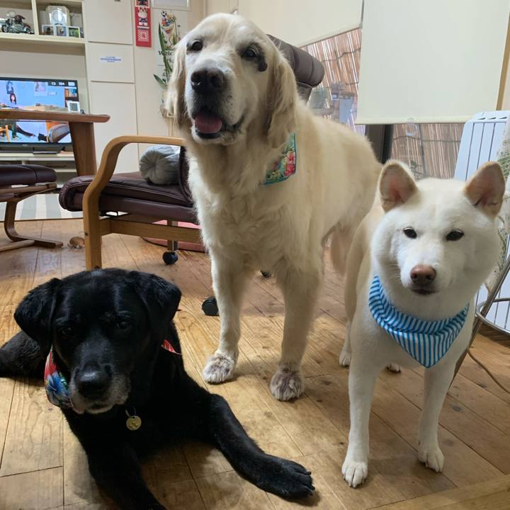 9ec7a4f7 1abe 4620 94a1 ce39dbb62345 1695281767679