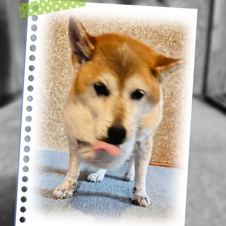 9ec7a826 962c 49d0 8f5f 51146b93dd58 1759275705302