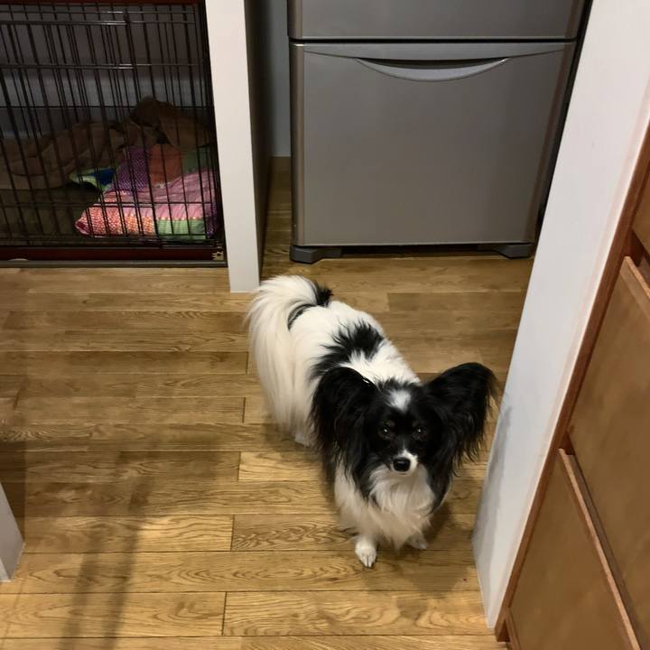 9ec7aced ef2a 4068 828c e6fb9def9cbc 1549318745129