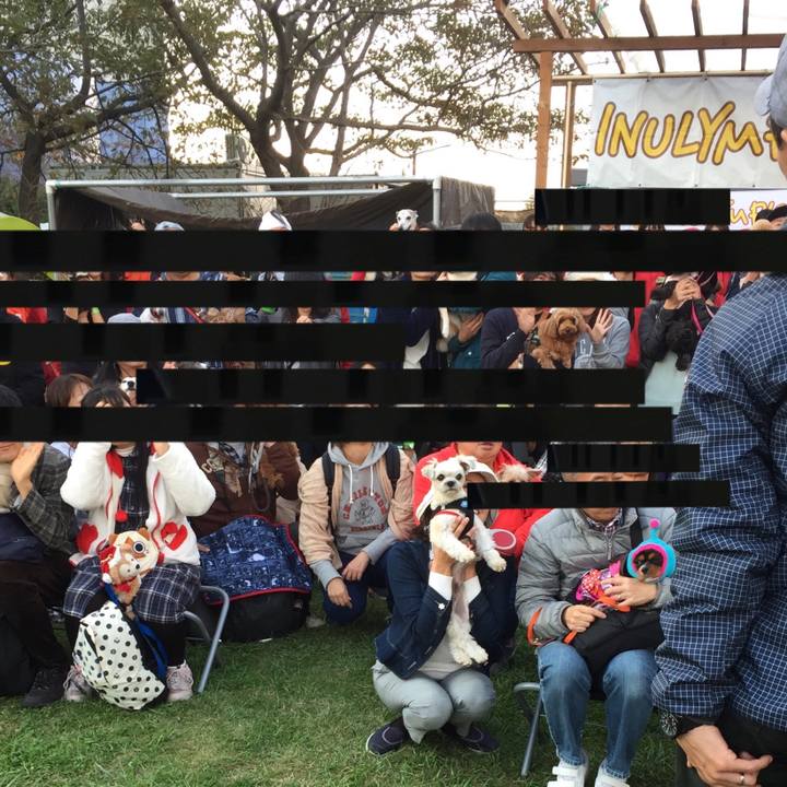 9ec7b670 cfb7 4e26 9943 82f8fc07300c 1542451482574