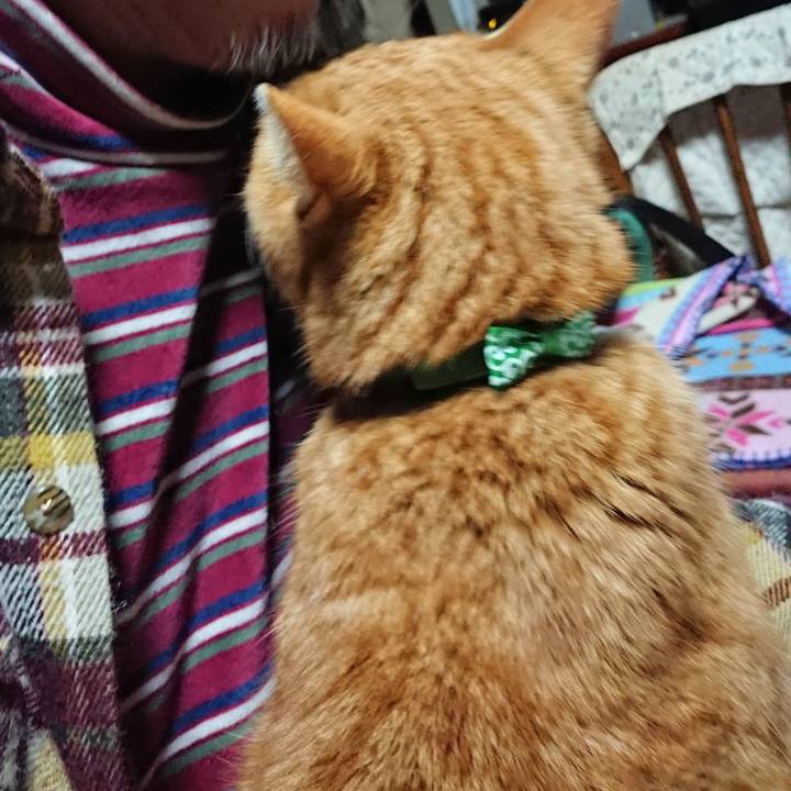 9ec7d83f 4492 4960 a4fb e31e7d6e1a20 1579899712923